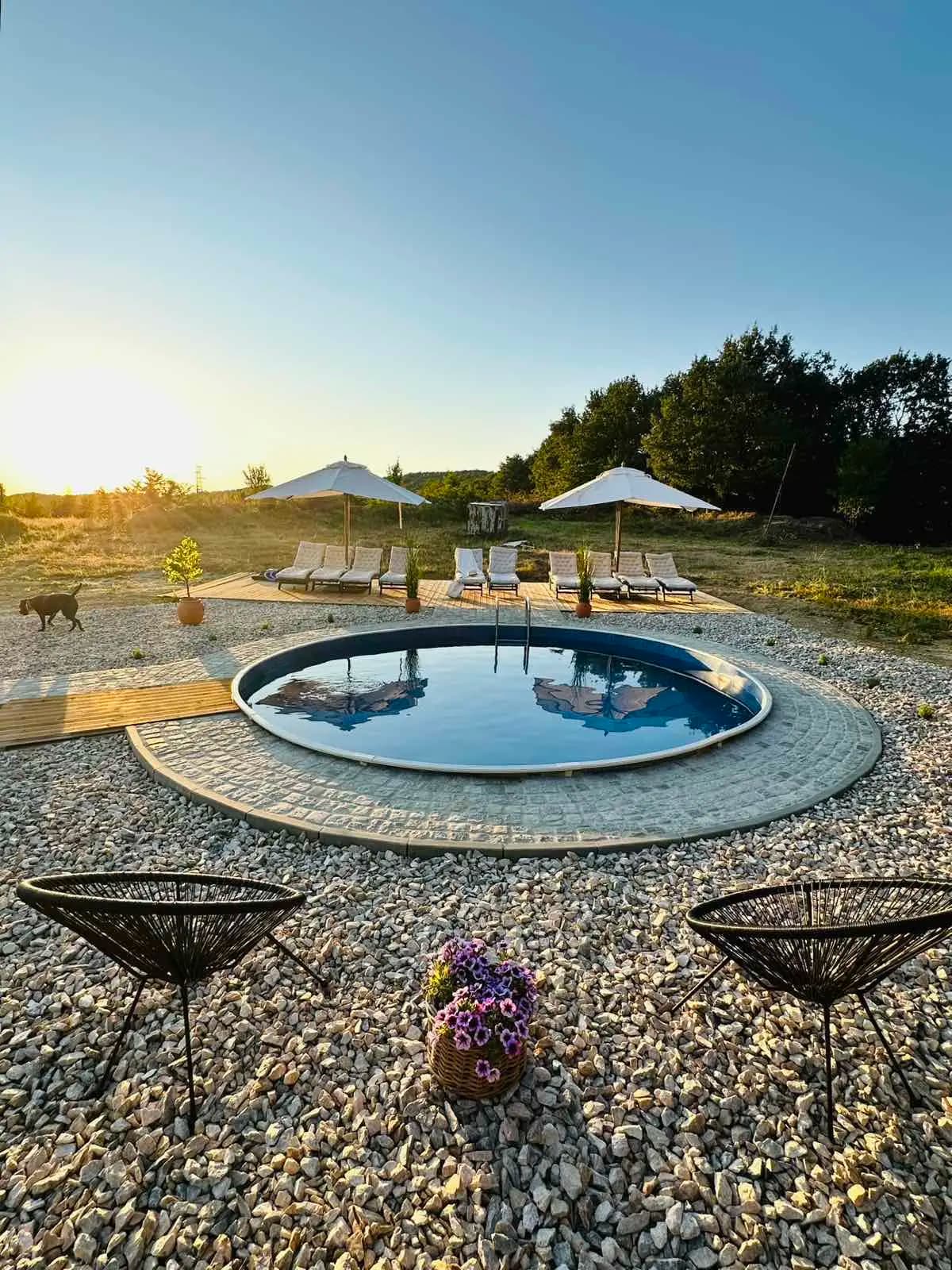 Къщи за гости Gesha Forest