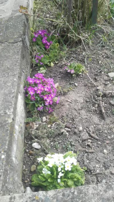 ХЛЕБОЗАВОД