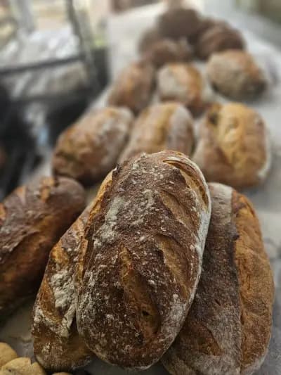 Пекарна "Златен квас"