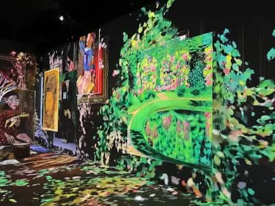 Videnie - Immersive Space