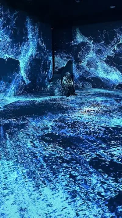 Videnie - Immersive Space