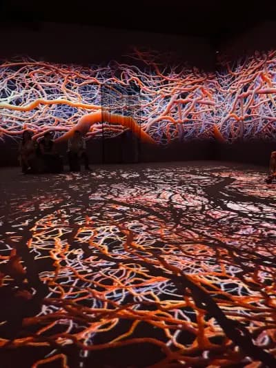 Videnie - Immersive Space