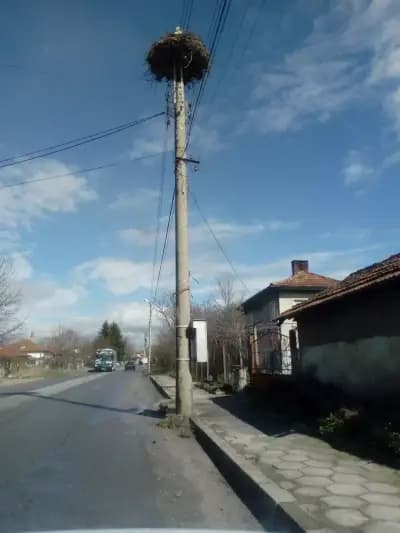 ЦЕЛОДНЕВНА ДЕТСКА ГРАДИНА (ЦДГ)