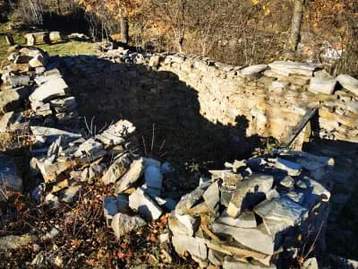 Люлката на любовта