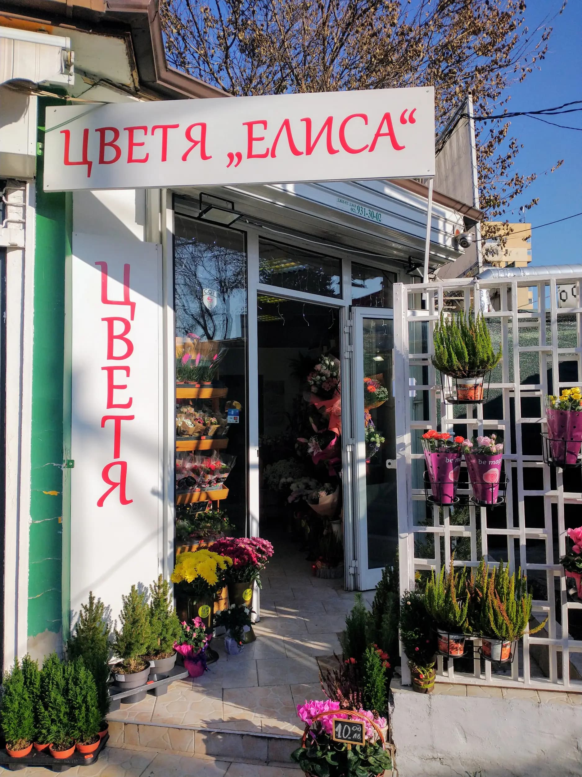Елиса