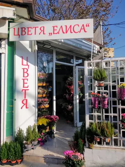 Елиса
