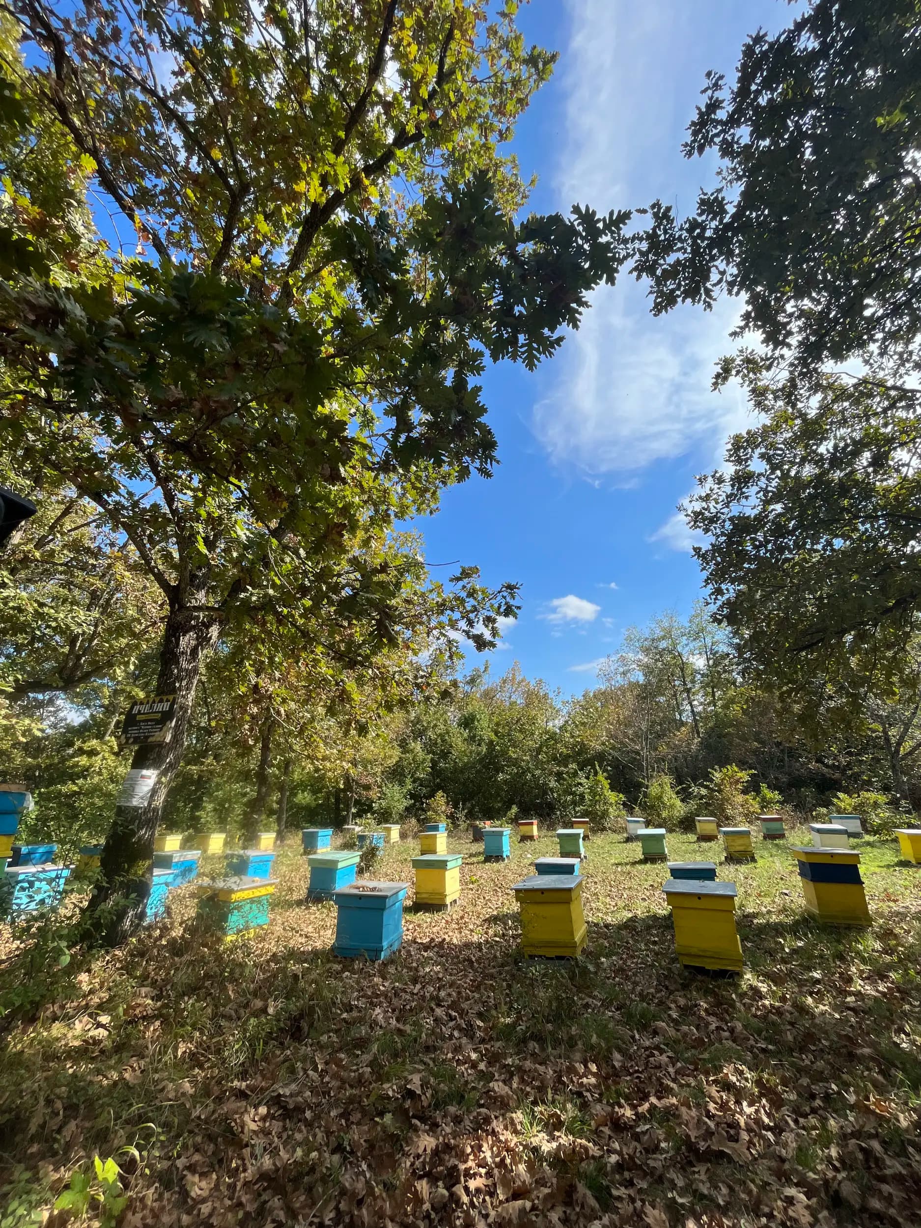 Velkov's honey-organic bee farm/Велков мед- био пчелна ферма