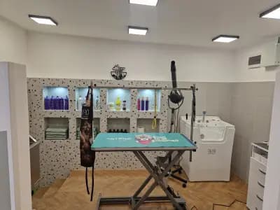Груминг салон-Pet Stop Beauty-Grooming & SPA Salon