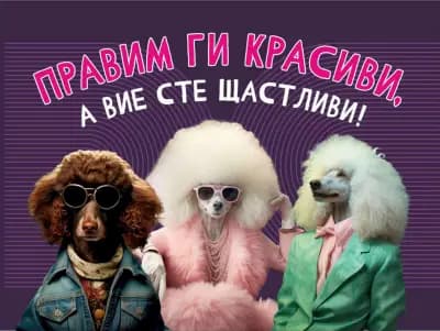 Груминг салон-Pet Stop Beauty-Grooming & SPA Salon