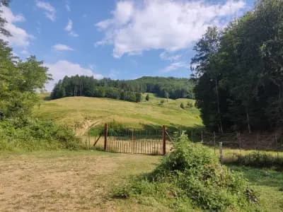 Държавно ловно стопанство „Росица“