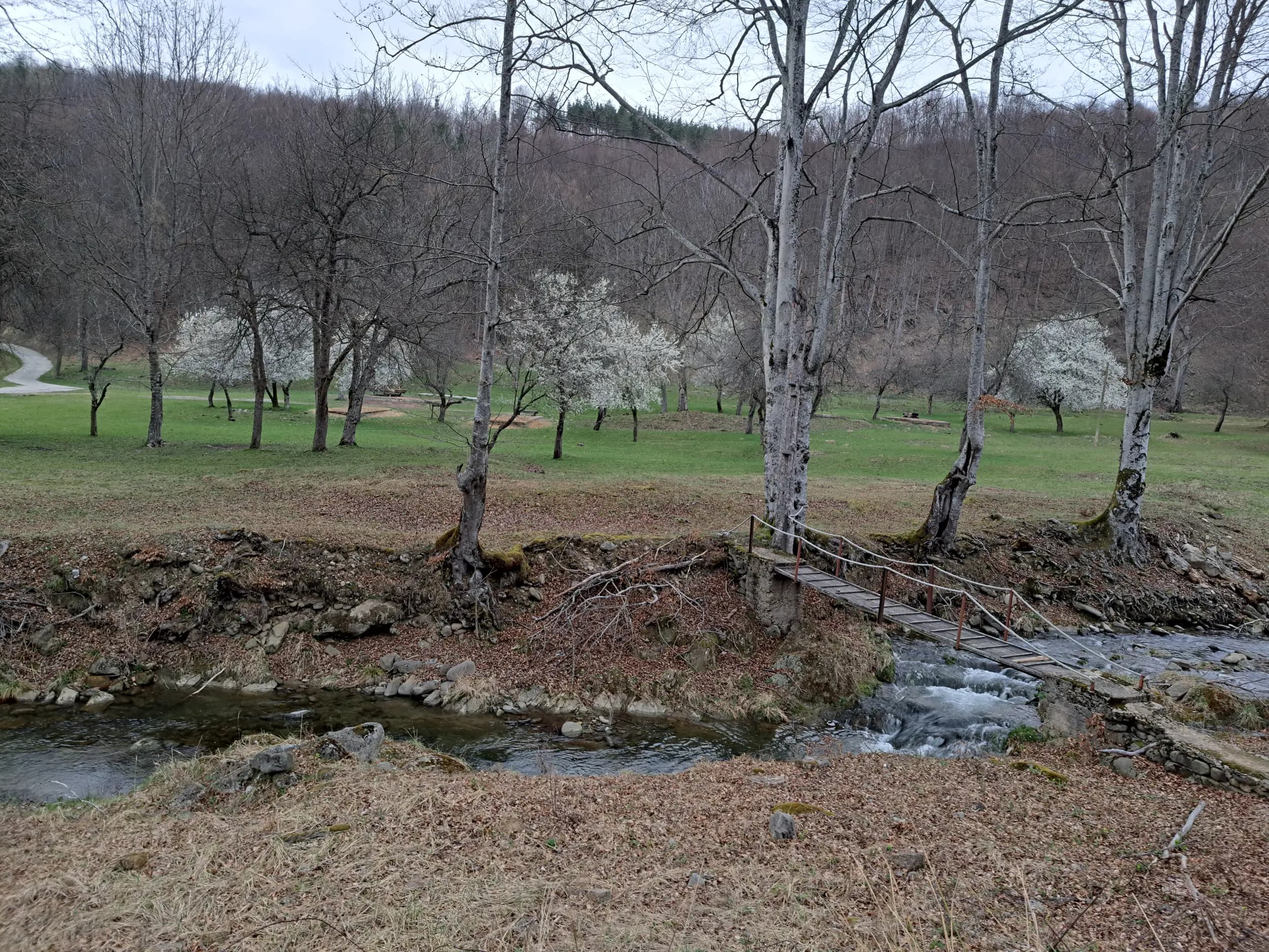 Държавно ловно стопанство „Росица“