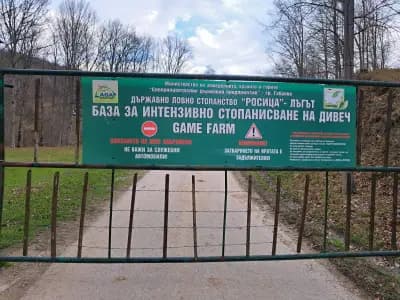 Държавно ловно стопанство „Росица“