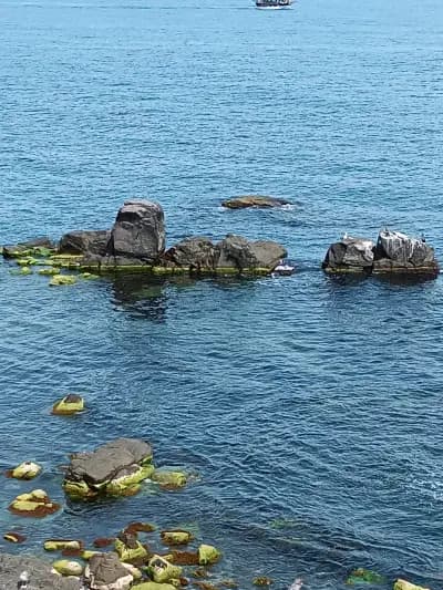 Панорамна гледка