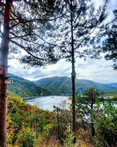 Панорамна гледка