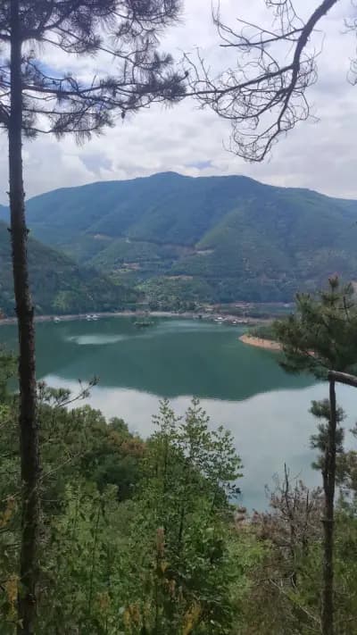 Панорамна гледка