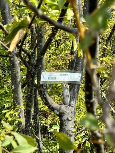 Панорама(Гледката)
