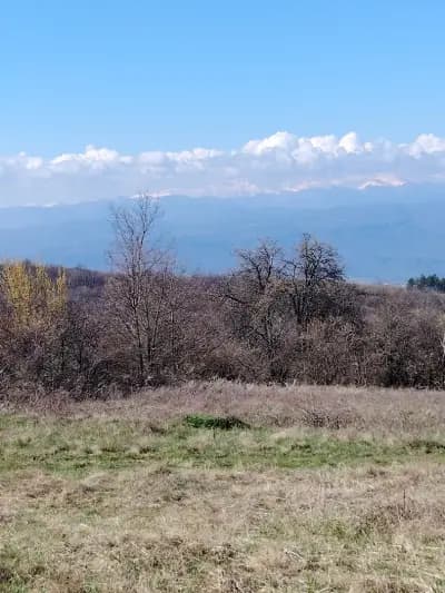 Панорама(Гледката)