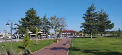 Alba Restaurant