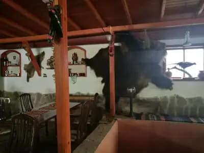 Магазин за месо "Дева"