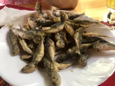 Бистро Медеа- Bistro Medusa