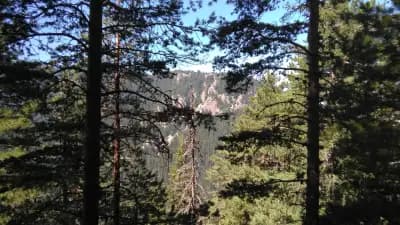 Пешеходна пътека до Хижа „Чакър войвода“