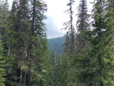 Пешеходна пътека до Хижа „Чакър войвода“