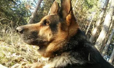 Парк Панорама