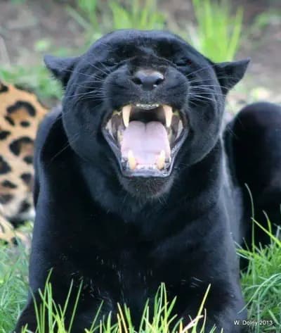 Парк Панорама