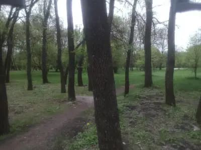 Алпинеум - Западен парк