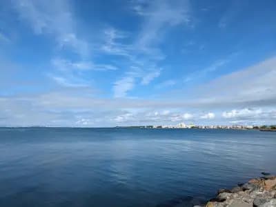 Пейката на Любовта