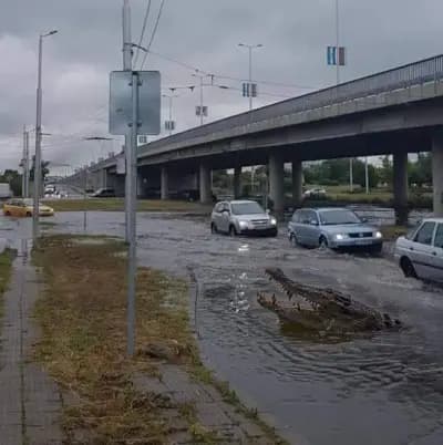 Автомивка