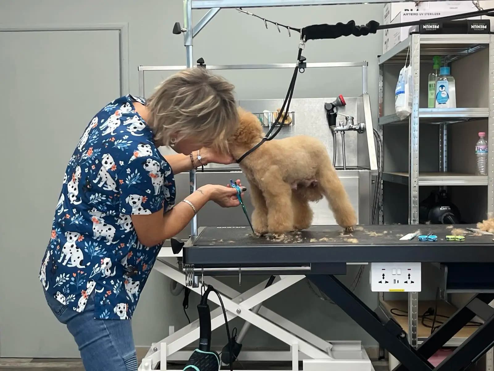 Груминг Хаус Ван Де Бо