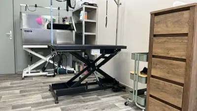 Груминг Хаус Ван Де Бо