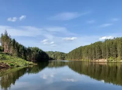 Къмпинг Алино Лейк (Alino Lake Camping)