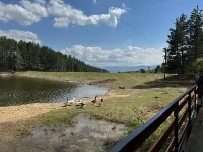 Къмпинг Алино Лейк (Alino Lake Camping)