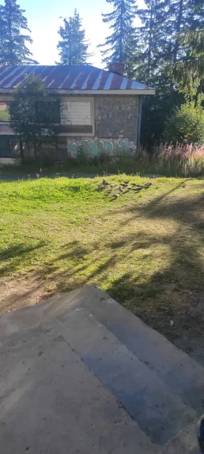 СНЕК-БАР "ЕМИ"