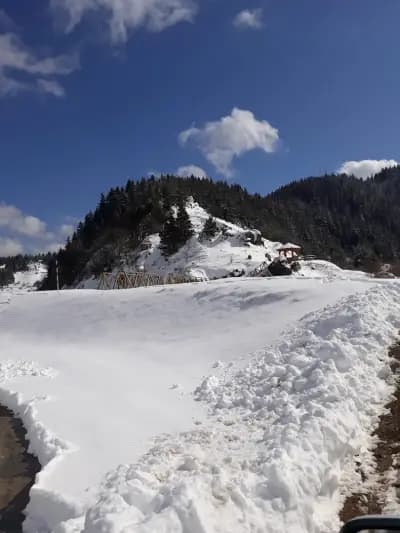 Краси Мантов