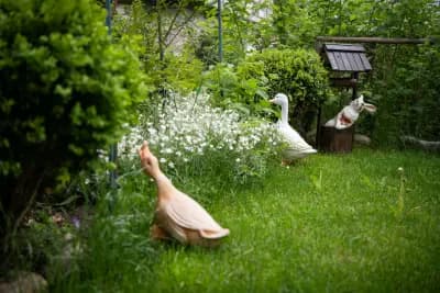 Къща за гости "Вила Роси"