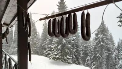 Вила Мечи Чал При старата мечка