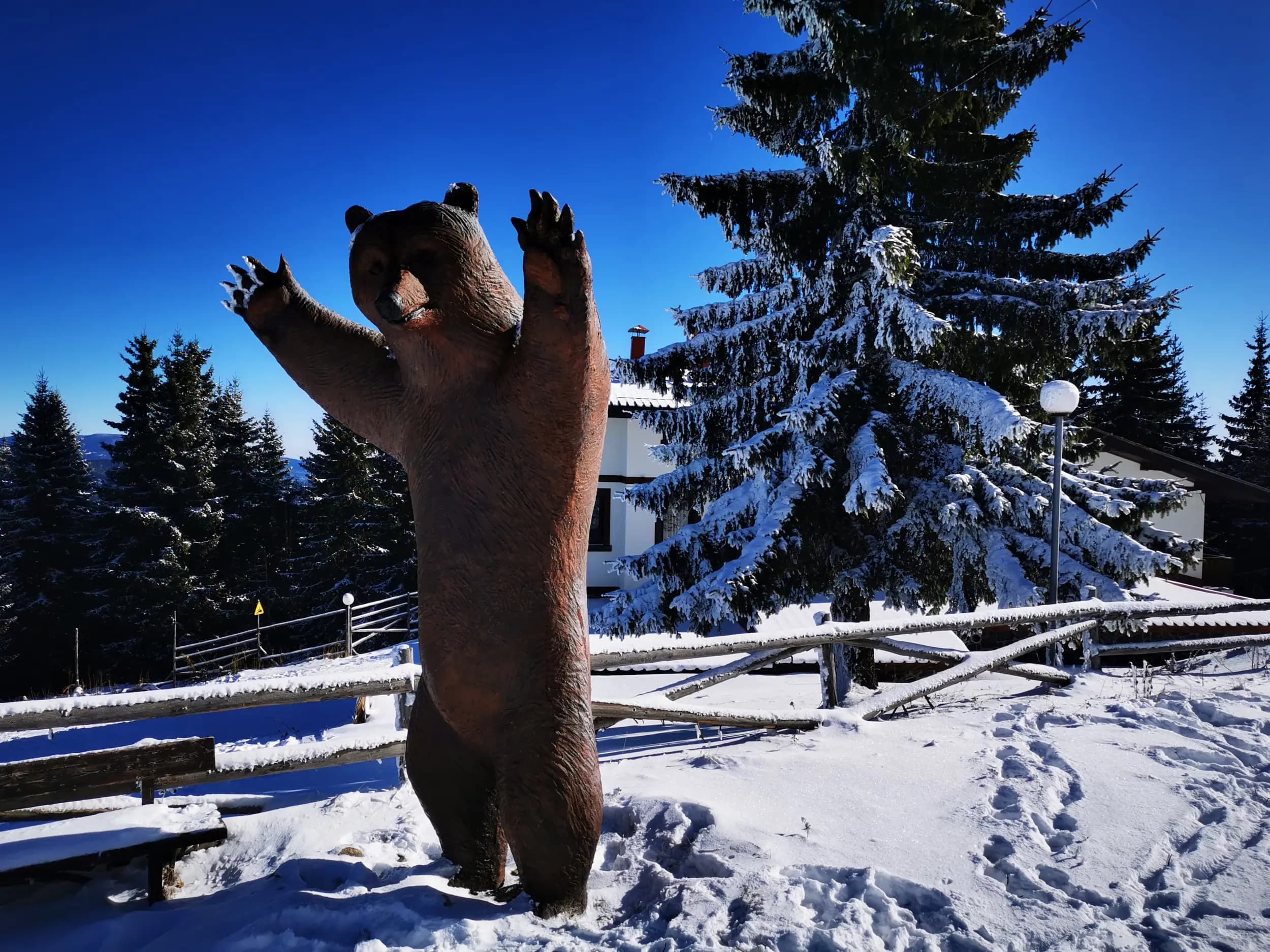 Вила Мечи Чал При старата мечка