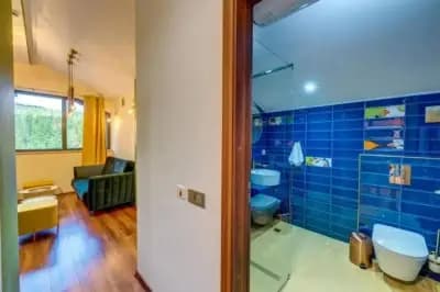 Boho Mountain Studio