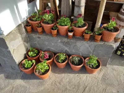 Villa Kati Vacation House