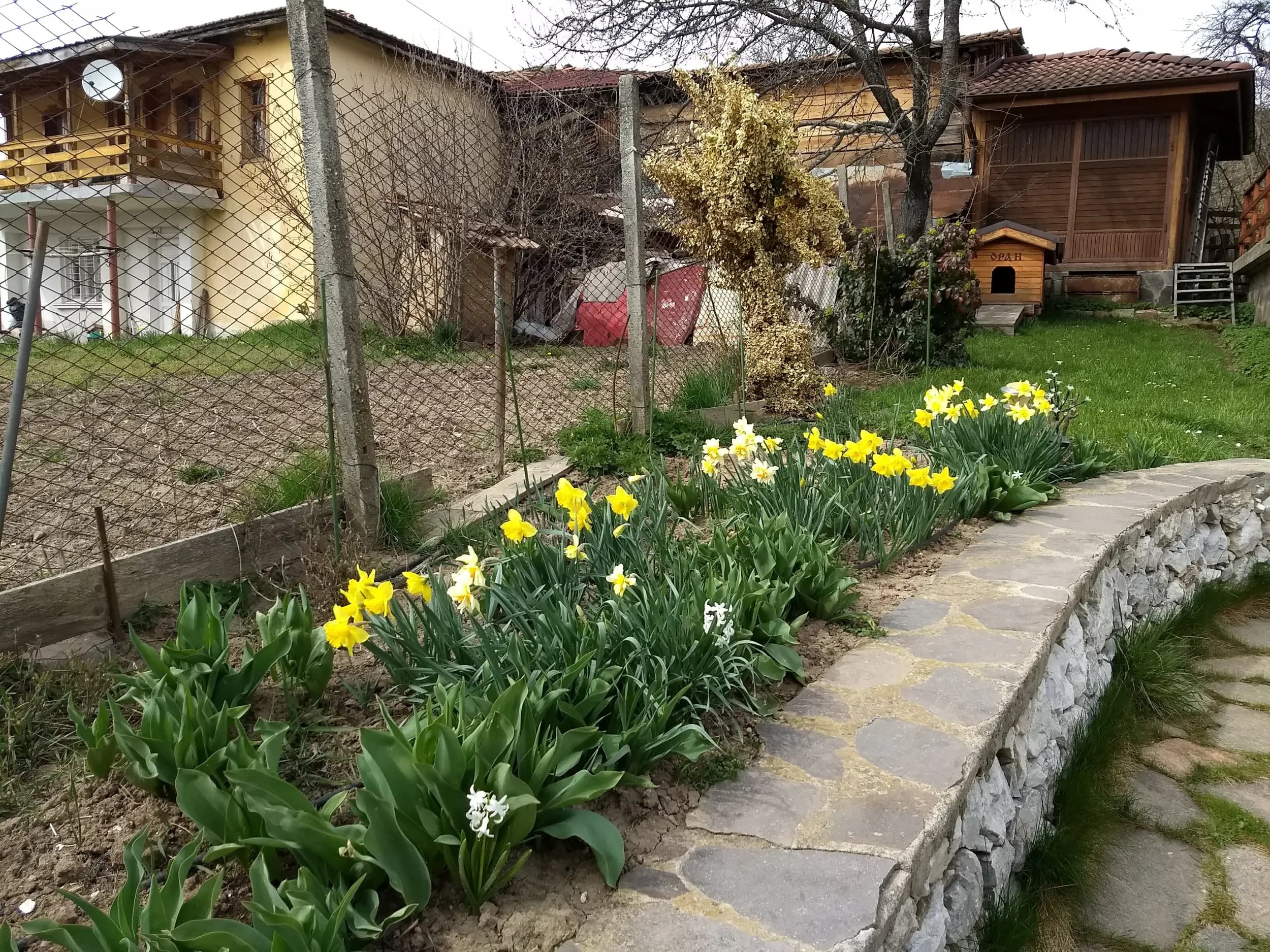 Villa Kati Vacation House