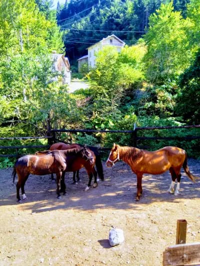 ХОТЕЛ ЗДРАВЕЦ