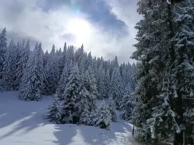 Къща за гости "Старата къща"