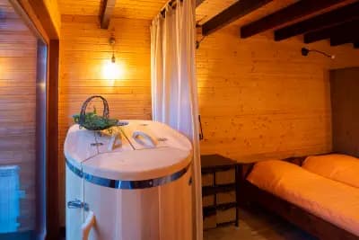 ПинусВилас