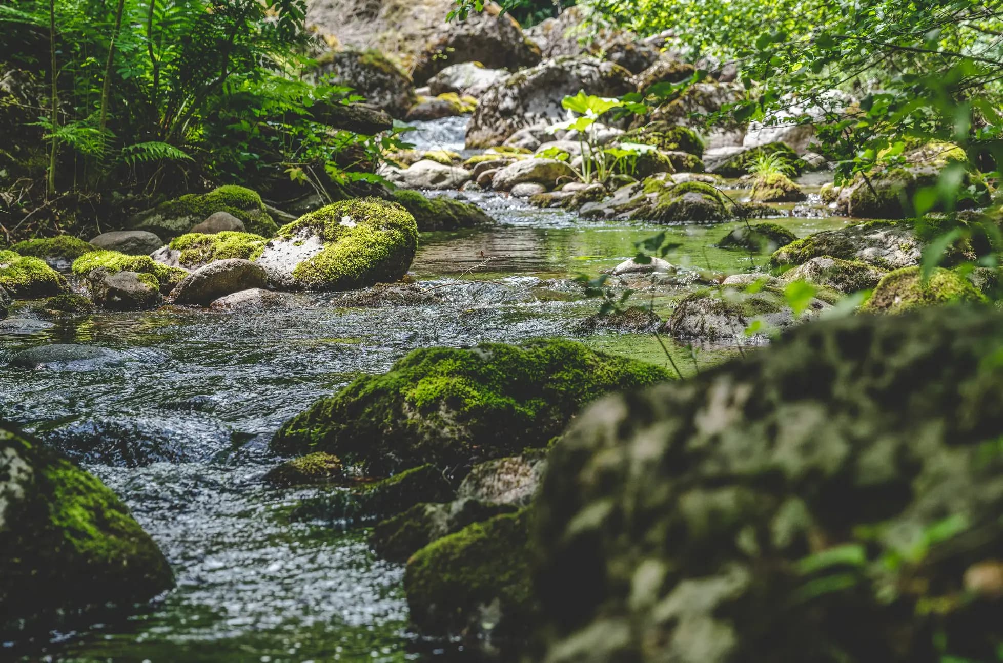 Къща за гости в Родопите "Росенови"