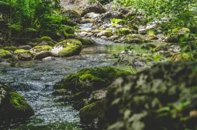 Къща за гости в Родопите "Росенови"