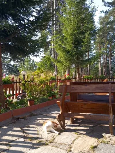 Ресторант „Спортна среща“