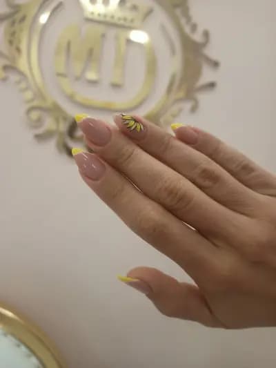 MD Beauty Empire
